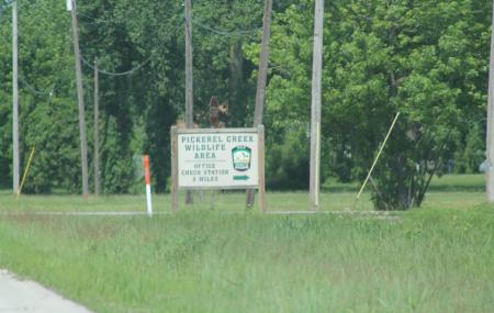 Pickerel Creek Wildlife Area Image