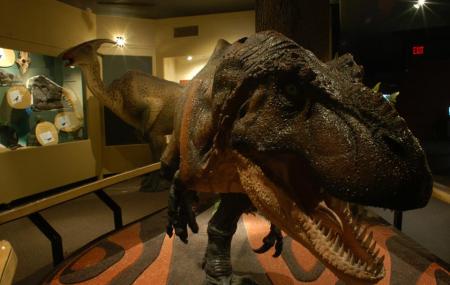 North Museum Of Nature And Science Image