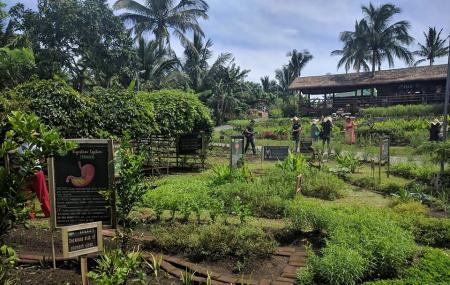 Nurture Wellness Village Image