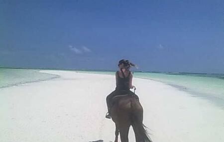 Maisha Mazuri Horse Riding Club Image
