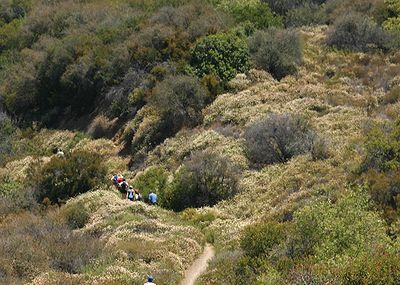 Backbone Trail Image