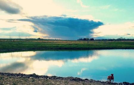 Gallatin County Regional Park Image