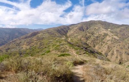 Nicholas Flat Trail Image