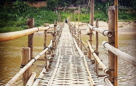 Bamboo Bridge Image