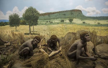 Kariandusi Museum Image