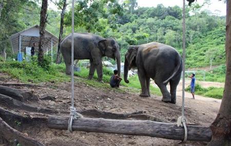 Elephant Jungle Sanctuary Phuket Image