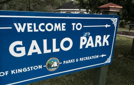 Pacifico-gallo Park Image