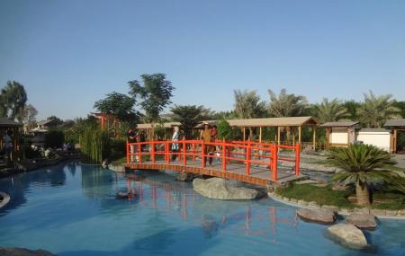 Arman Zoo Image