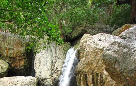 Ubbalamadugu Falls Image