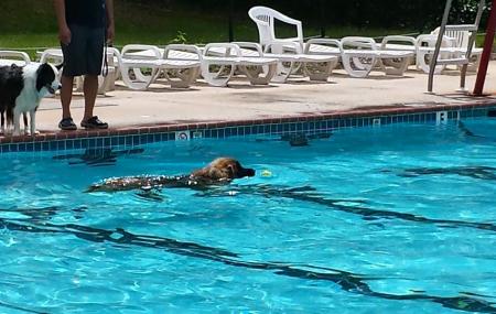 stonewall park pool