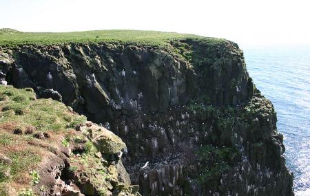 Latrabjarg Image