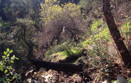 Wilderness Glen Park Image