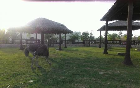 Al Khor Park Image