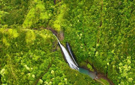 Manawaiopuna Falls (jurassic Park Falls) Image