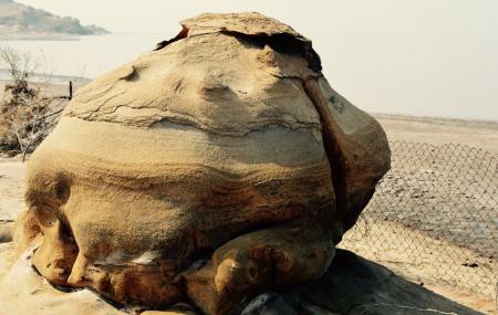 Kutch Fossil Park Image