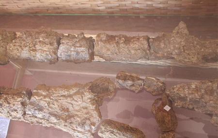 Bharatiya Sanskruti Darshan Museum Image