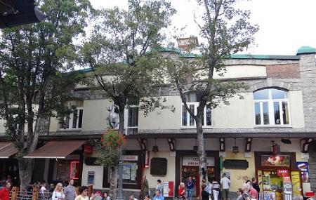 Krupowki Street Image