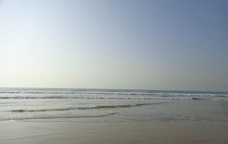 Swargadwar Beach Image