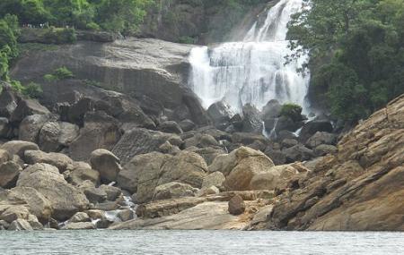 Agasthiyar Falls Image