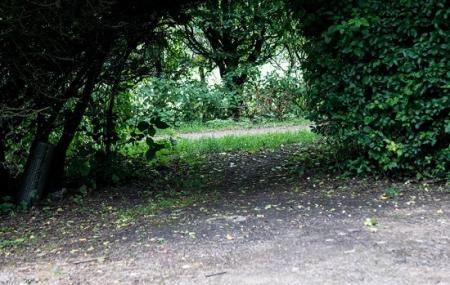Radwell Meadows Country Park Image