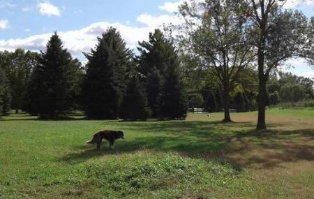 Environmental Nature Area Off-leash Dog Park Image