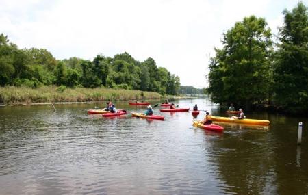 Black Bayou Lake National Wildlife Refuge Image
