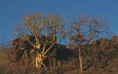 Mokolodi Nature Reserve Image