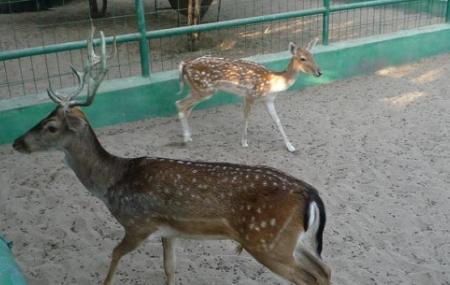 An Naman Zoo Image