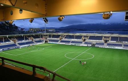Color Line Stadium Image