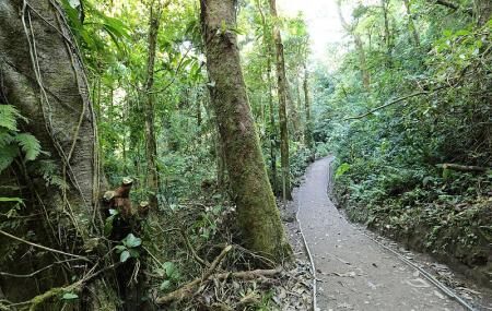 Monteverde Cloud Forest Reserve Image