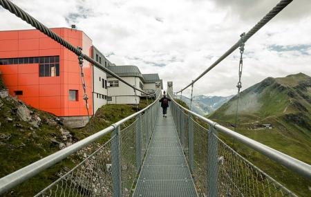 Dachstein Suspension Bridge Image