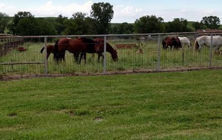 Flint Hills Rodeo Grounds Image