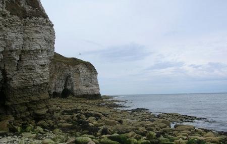 Flamborough Headland Heritage Coast Image