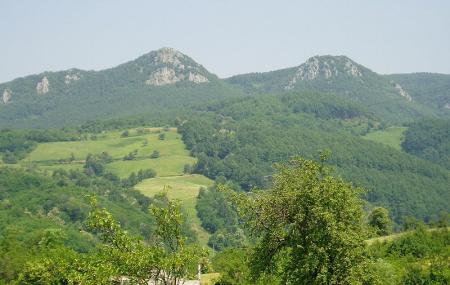 Kozara National Park Image