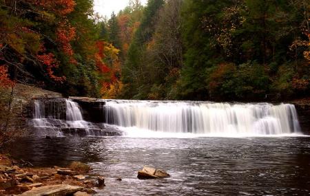 Dupont State Forest Image