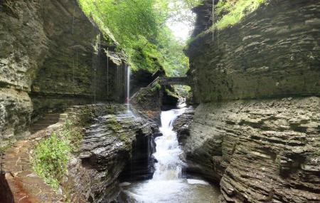 Watkins Glen State Park Reviews Ticket Price Contribute Review Watkins Glen State Park