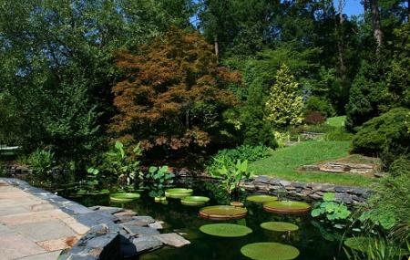 Sarah P. Duke Gardens Image