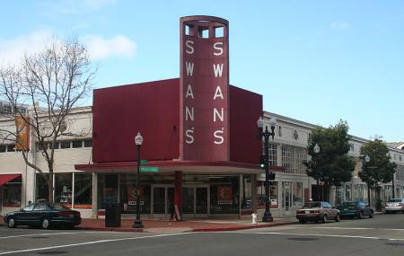 Swans Market Image