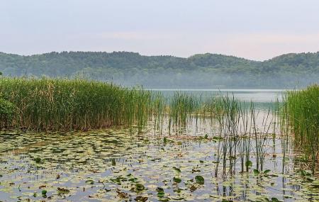 Strichmädchen Buckow (Märkische Schweiz)