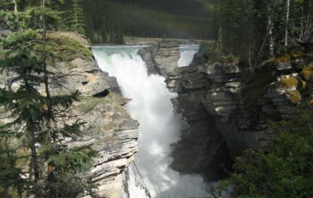 Athabasca Falls Image