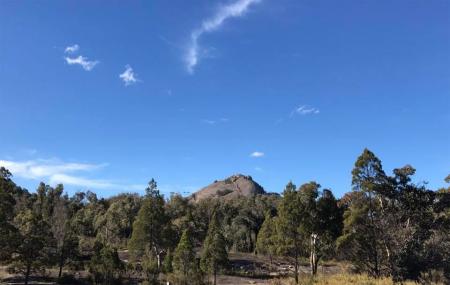 Girraween National Park Image