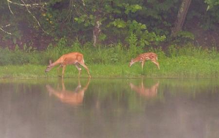 Deegan & Hinkle Lakes Park Image