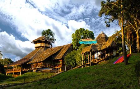Amazon Rainforest Lodge Image