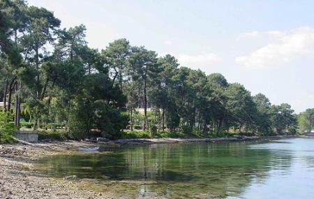 Isla Toja Image