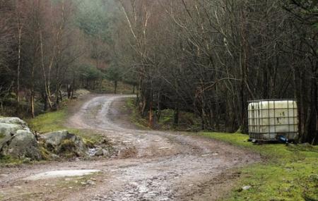 Bainloch Deer Park Image