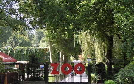 Krakow Zoo Image