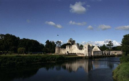 Desmond Castle Image