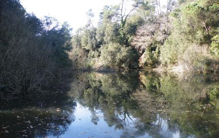 Panta De Can Borrell Image