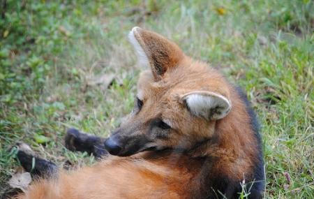 Beardsley Zoo Image