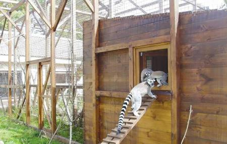 Lutsk Zoo Image